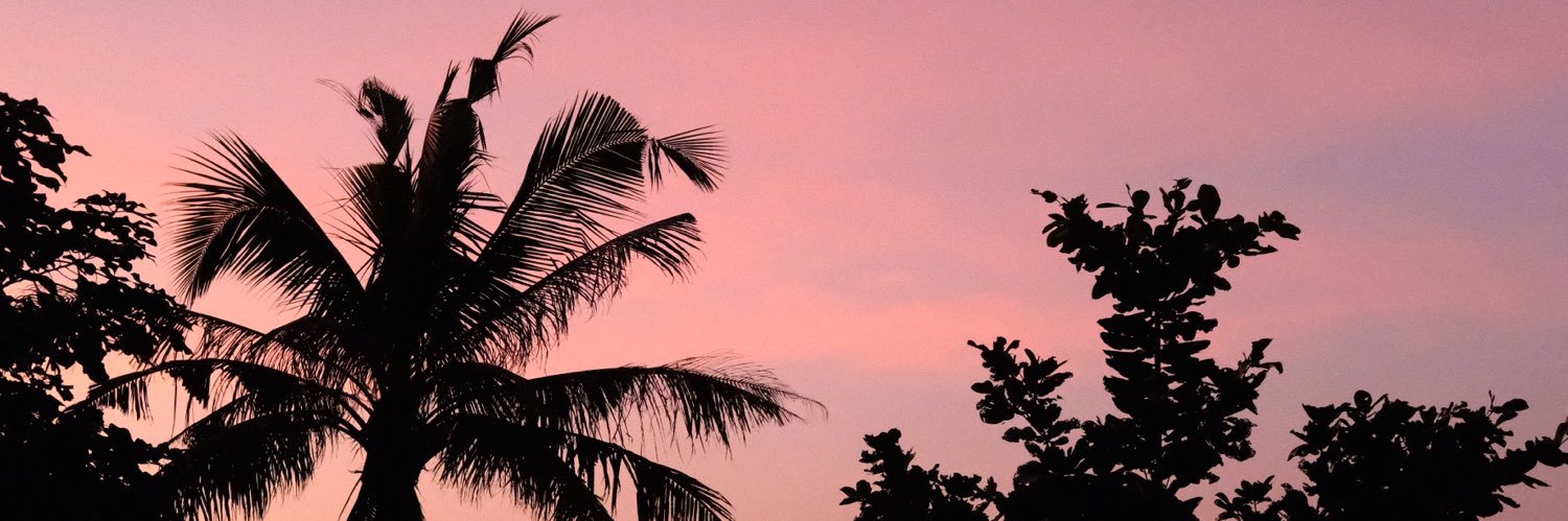 eveychang's profile banner image