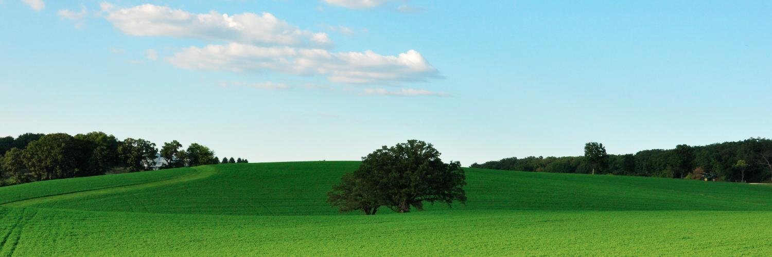 giodifoto's profile banner image