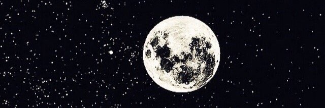 PerversoVerso's profile banner image