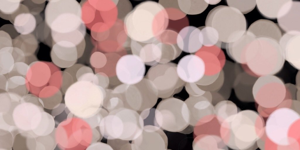 AnonBachelorFan's profile banner image