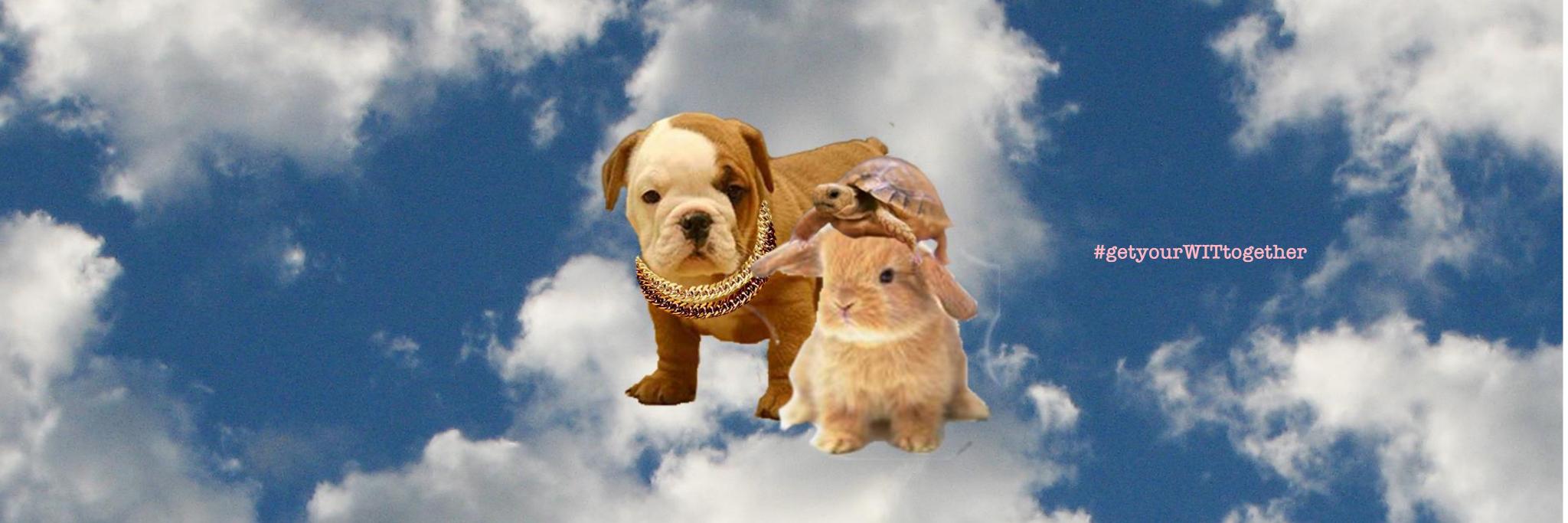 hilarydub's profile banner image