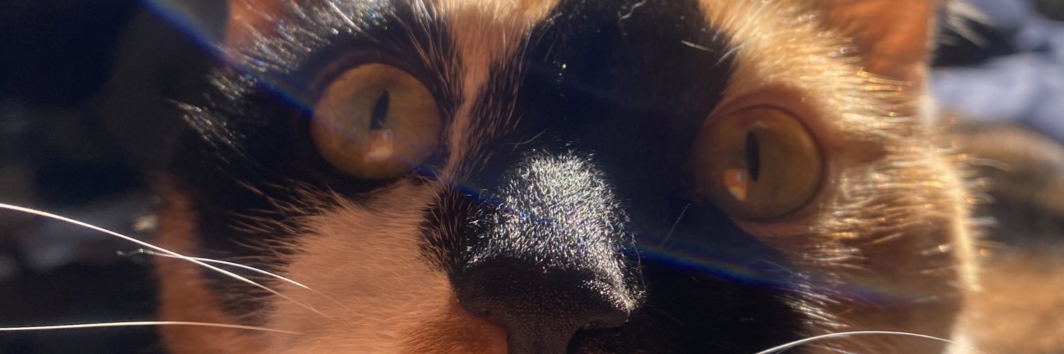 di_squared's profile banner image