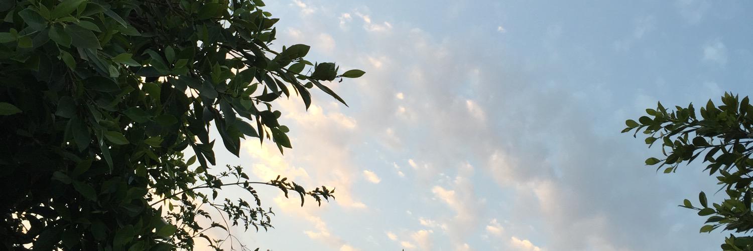 hasonti's profile banner image