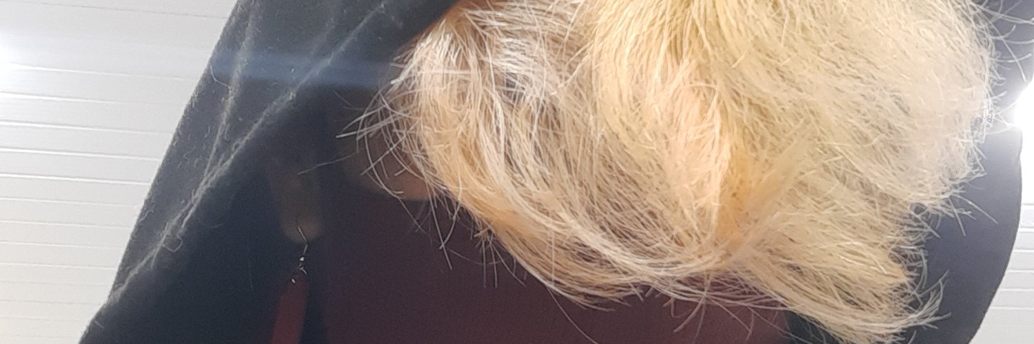 edumaisbrabo's profile banner image