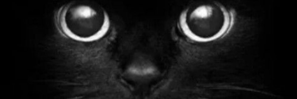 VGatua's profile banner image