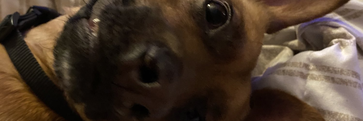 mnewman98's profile banner image
