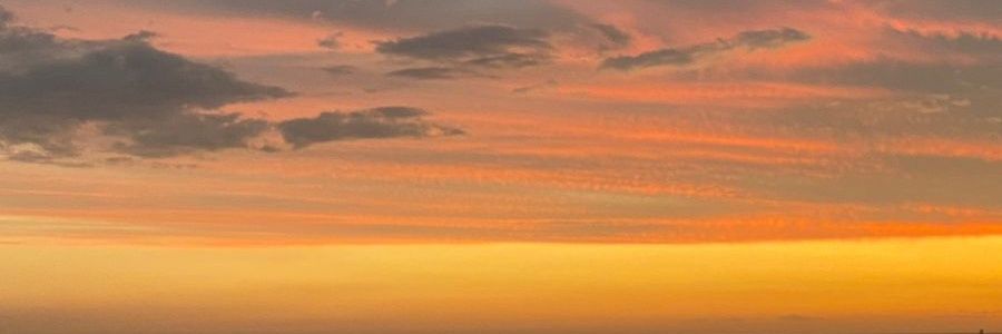 Pierinacourtil's profile banner image
