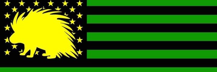 youngskygee6's profile banner image