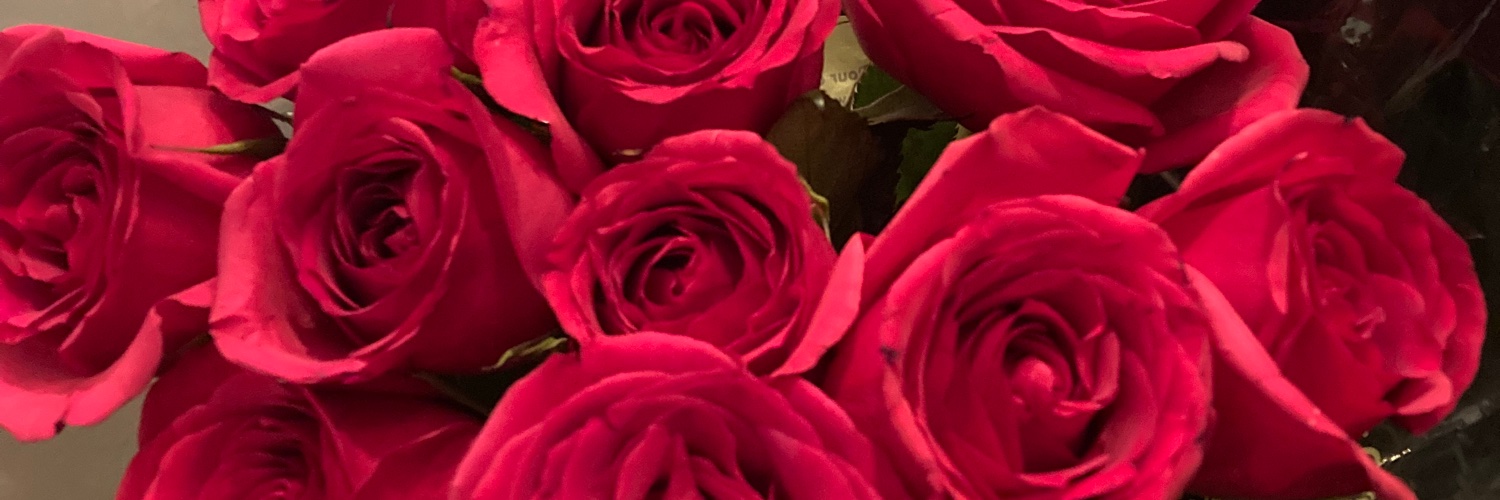 mrstashajec's profile banner image