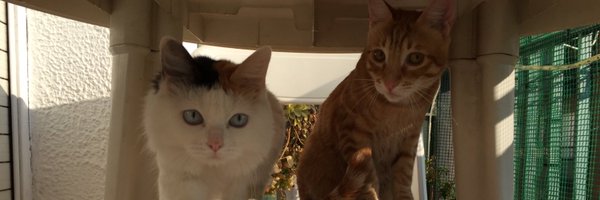 Yoowii18 Profile Banner