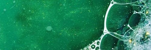 VerduousOrca's profile banner image