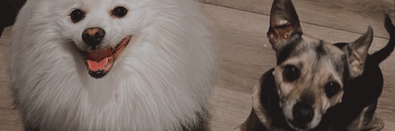 miranda_rioss's profile banner image