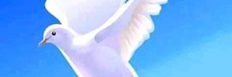 access2darex's profile banner image