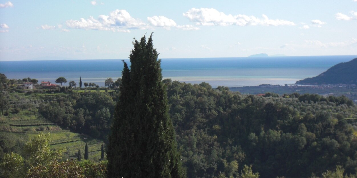 francesco bertani banner