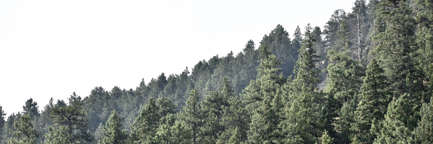 chloe_wagner2's profile banner image