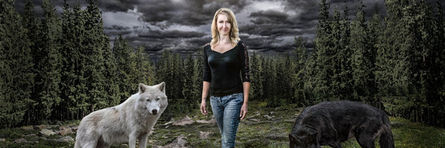 RCWoods2's profile banner image