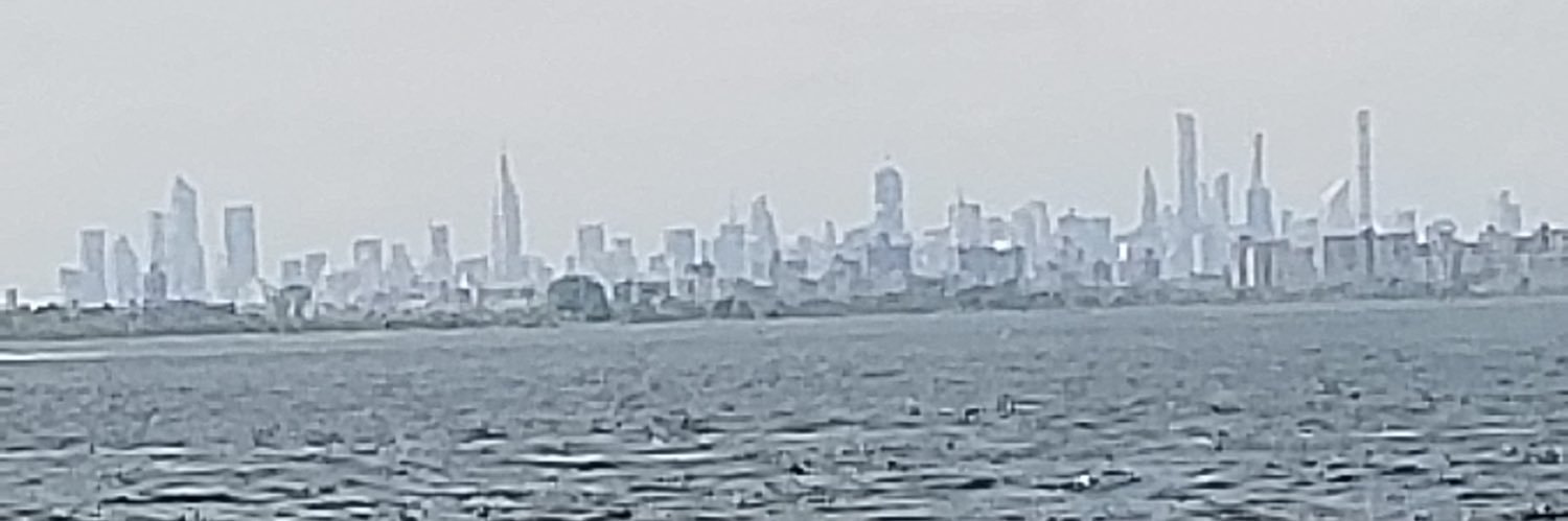 aneshussein1's profile banner image