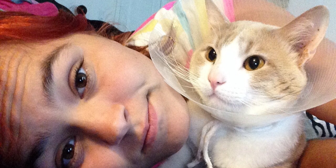 datevilcat's profile banner image