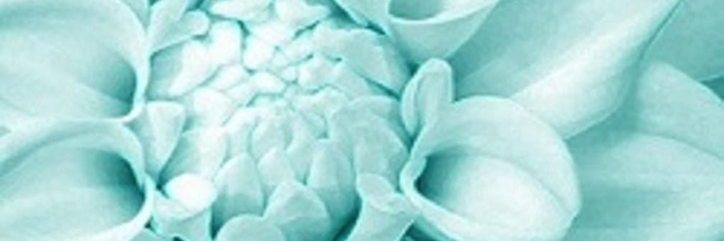chronicorrupt's profile banner image