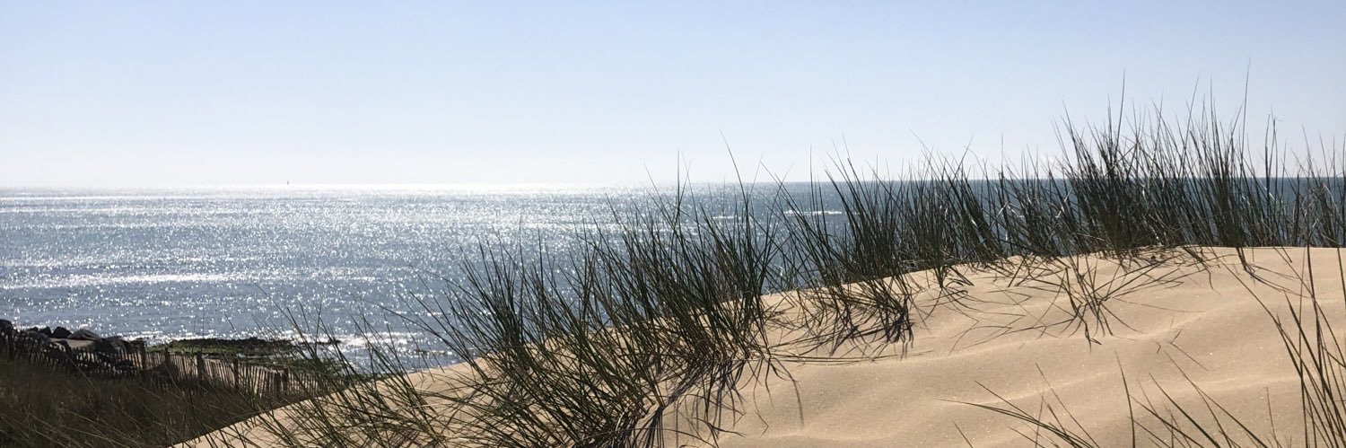 Clarisse Fageolles banner