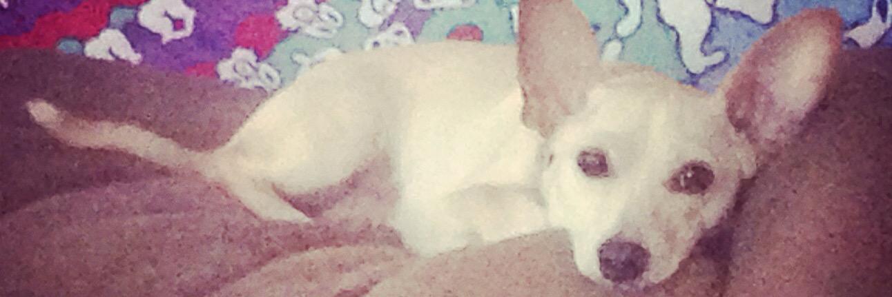 KynsMarie's profile banner image