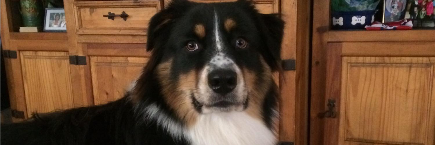 cutnmgo's profile banner image