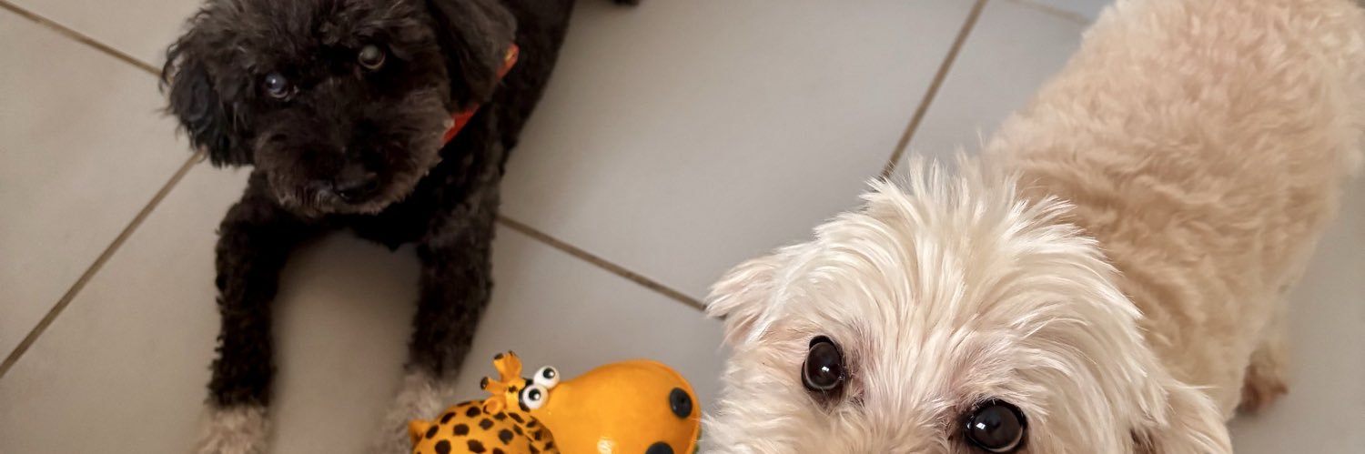 emilydanali's profile banner image