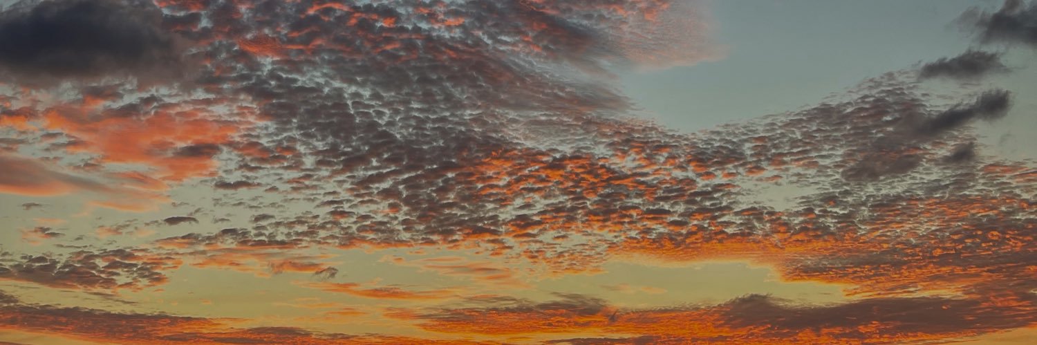 annabelle_ham's profile banner image