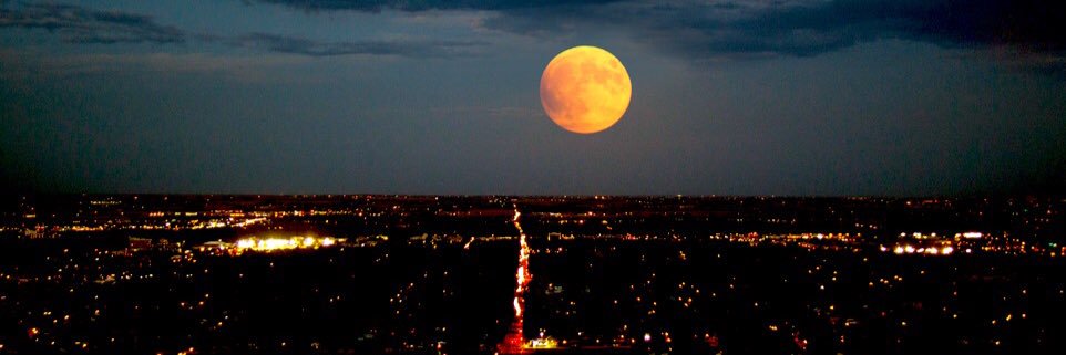 blib17's profile banner image