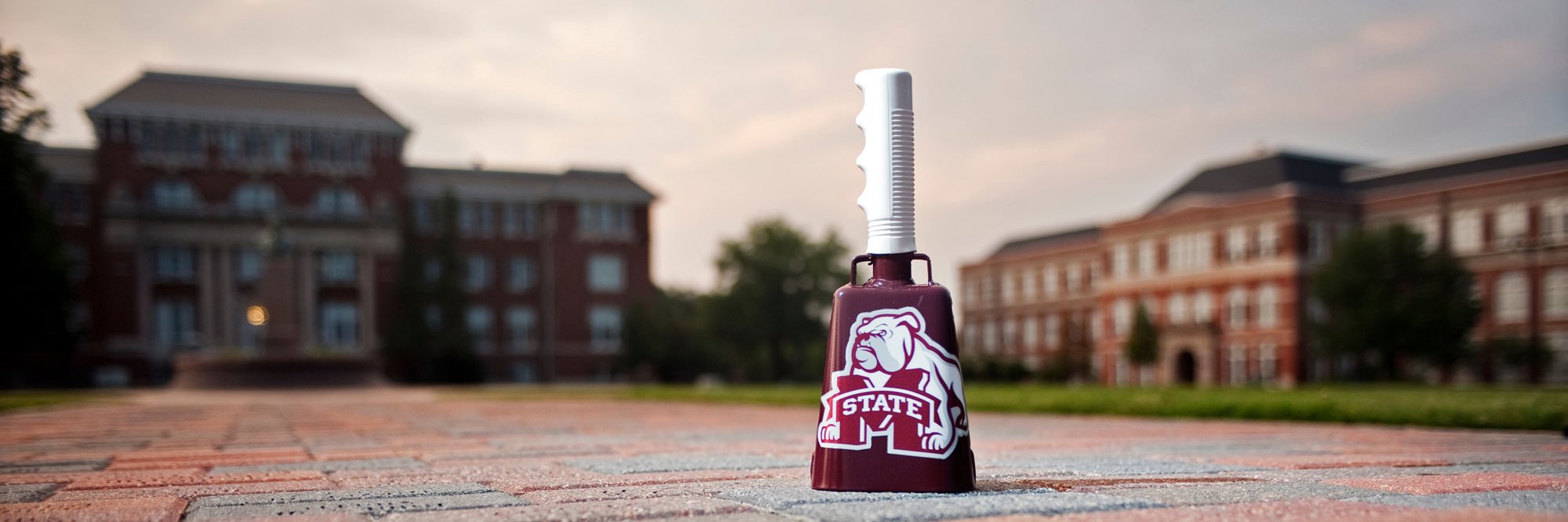 MSUINFORMS's profile banner image