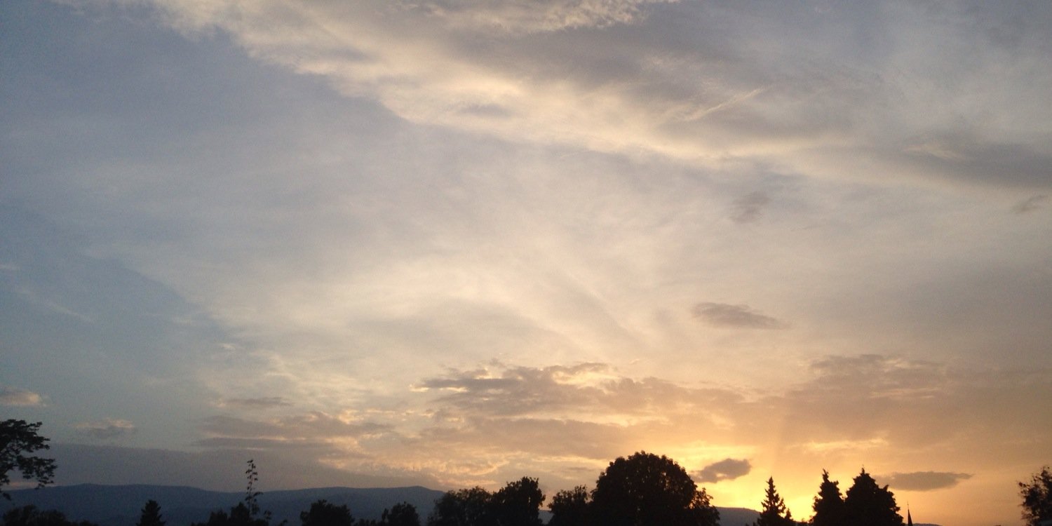 Lukas Traussnig banner