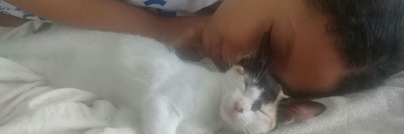 Gabby_Aro's profile banner image