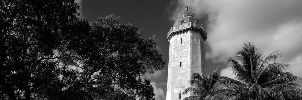 Nikki Whiting banner