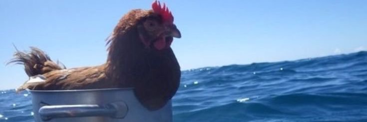 JJKLEVS's profile banner image