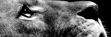 sodregui06's profile banner image