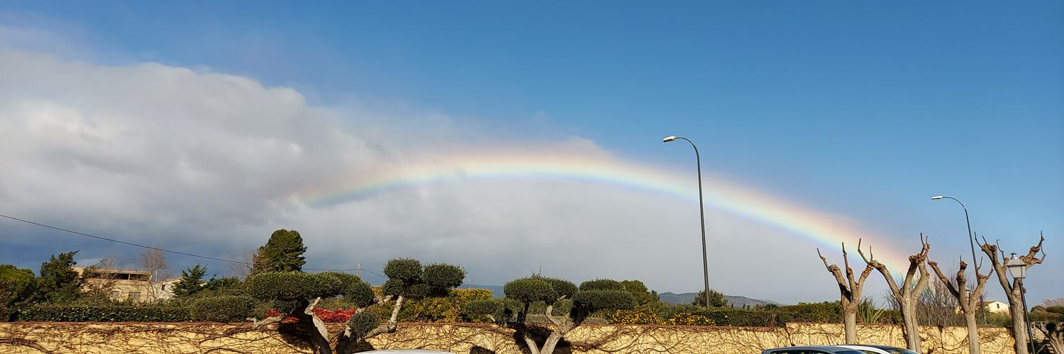 Raquel Prius Sardà banner