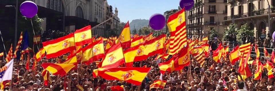 javiermulleras's profile banner image