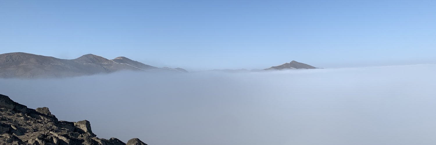 barbara_vp's profile banner image