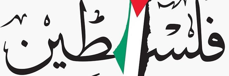 Shahindashabaan's profile banner image