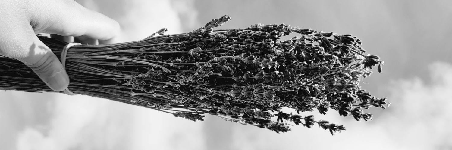 Arasoy_'s profile banner image
