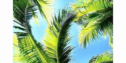 pauesttrada's profile banner image