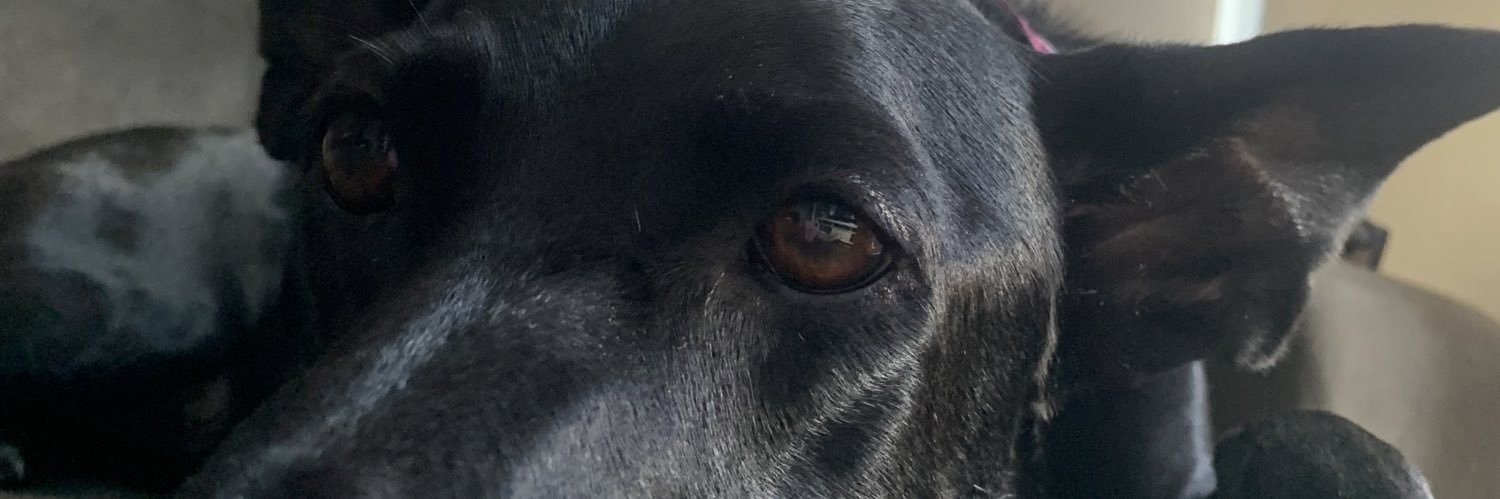 _annecaroline2's profile banner image