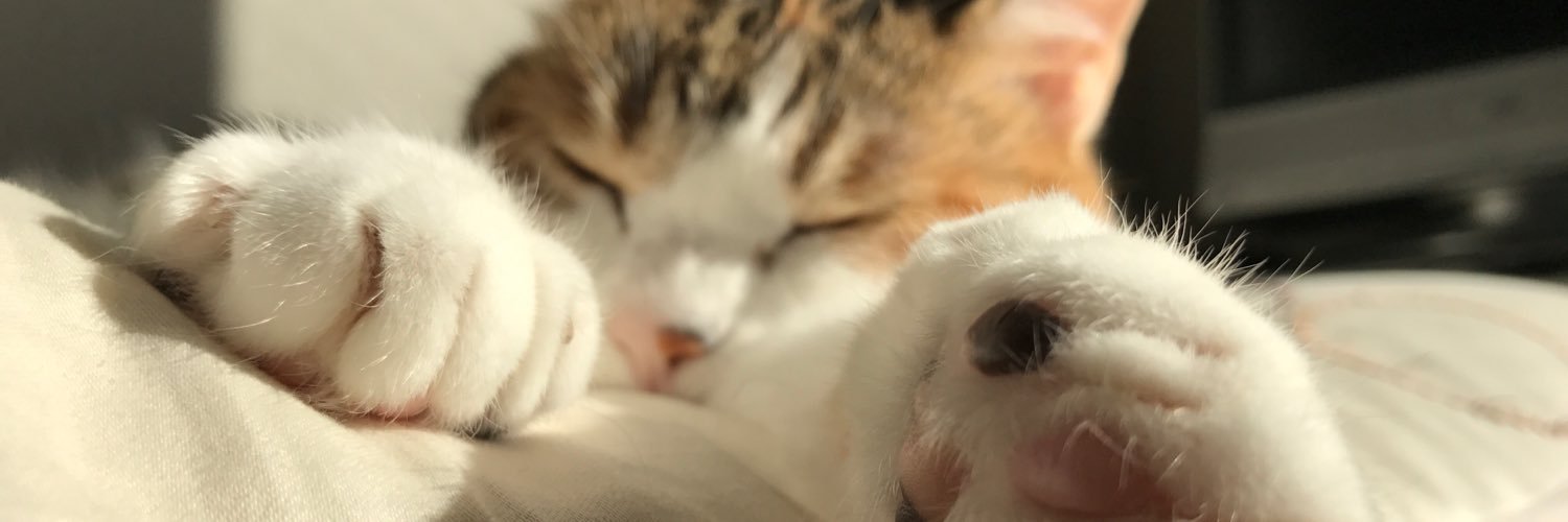 sakura＊sora banner