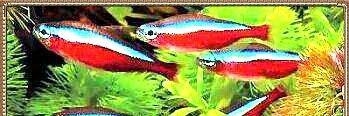 samathit's profile banner image