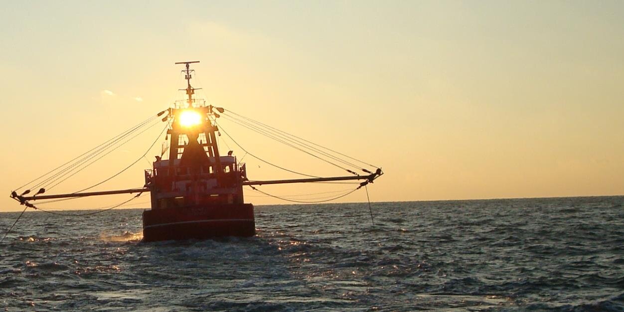 Durk W. van Tuinen banner