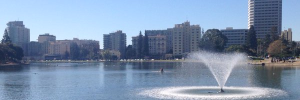 laliferis Profile Banner