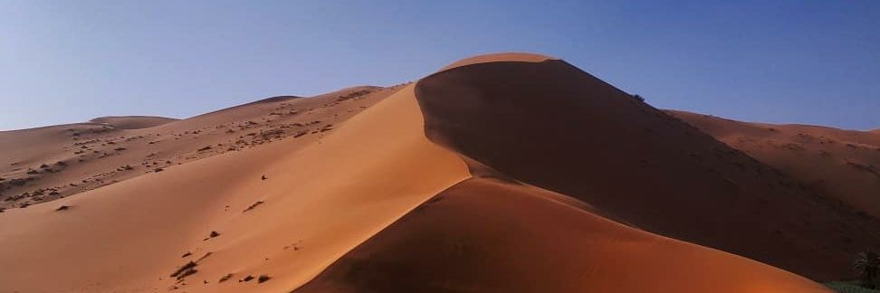 Nsalmos's profile banner image