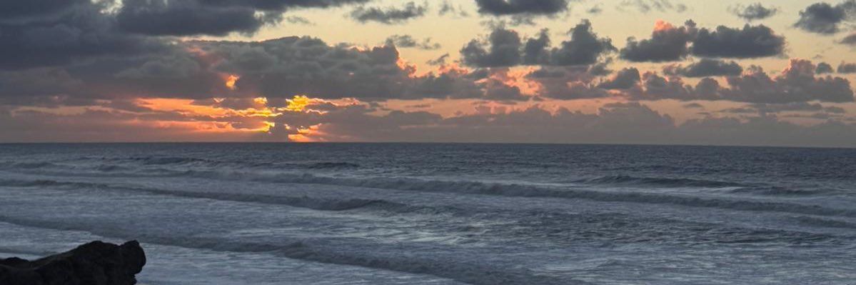 fonsecaaXIII's profile banner image