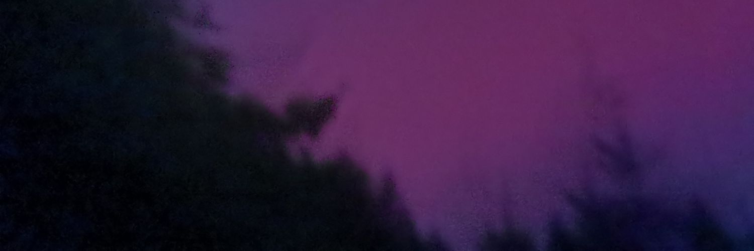 mpetrea7513's profile banner image