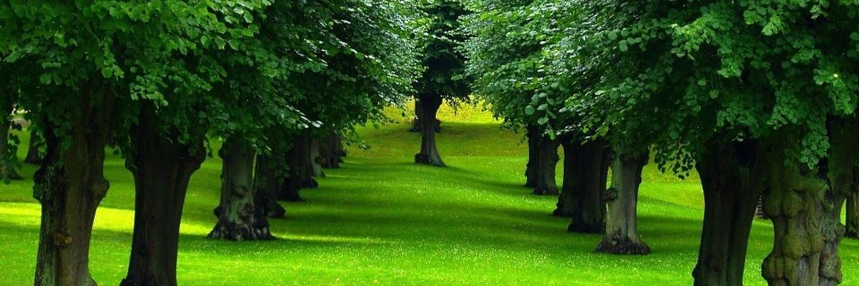 rashedalhammad's profile banner image